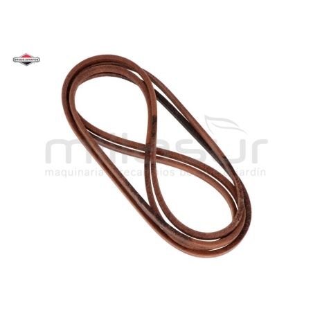 CORREA CUCHILLAS - motoscamaralweb.com