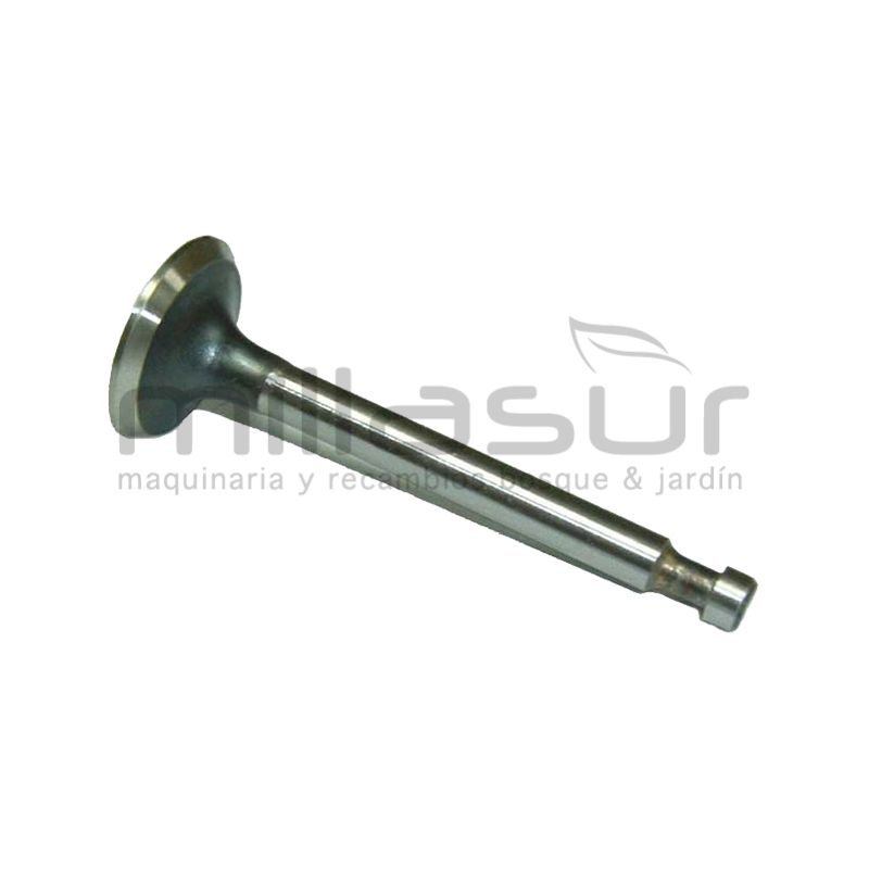 VÁLVULA ADMISIÓN HONDA GX140/160 - motoscamaralweb.com