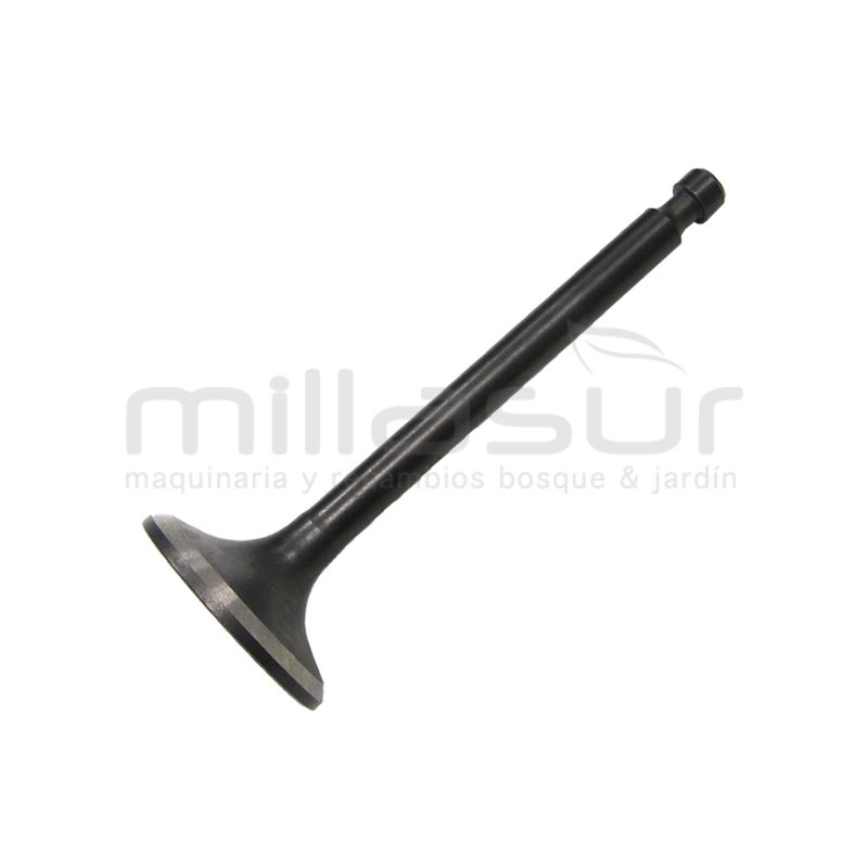 VALVULA ESCAPE HONDA GX390 - motoscamaralweb.com