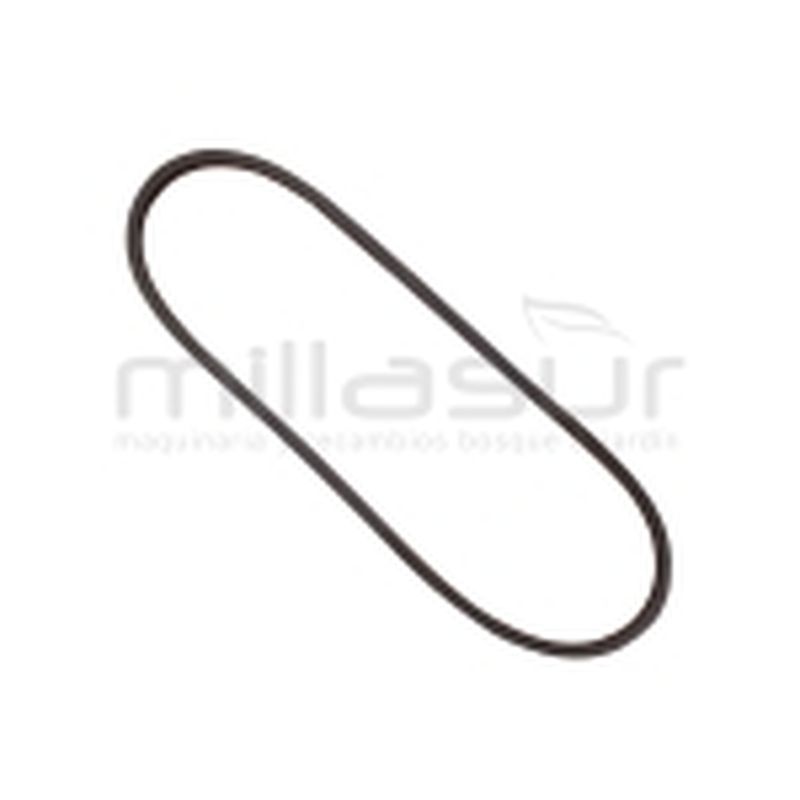 CORREA CASTEL G. Z29.5 10x750 LI mm. TD/TDL484/534TR-TR-E. - WOLF 46 cm. PVT-QD - motoscamaralweb.com