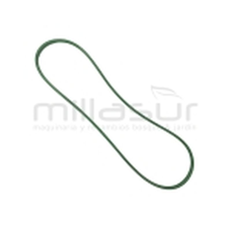 CORREA TRACCIÓN 9.5x1118 ADAPTABLE A AYP RIDER ... - motoscamaralweb.com