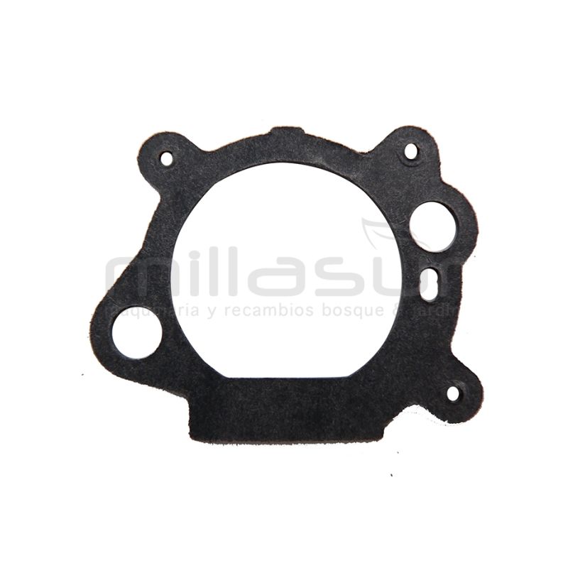 JUNTA B&amp;S QUANTUM - motoscamaralweb.com