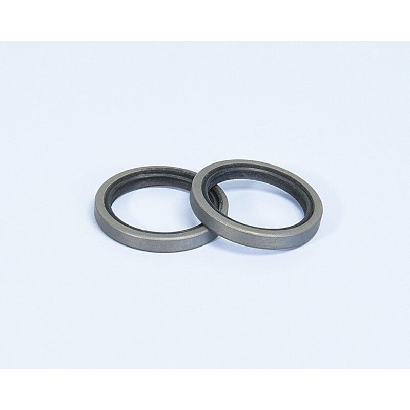 RETENES Variador Polini MBK BOOSTER (242043)- motoscamaralweb.com