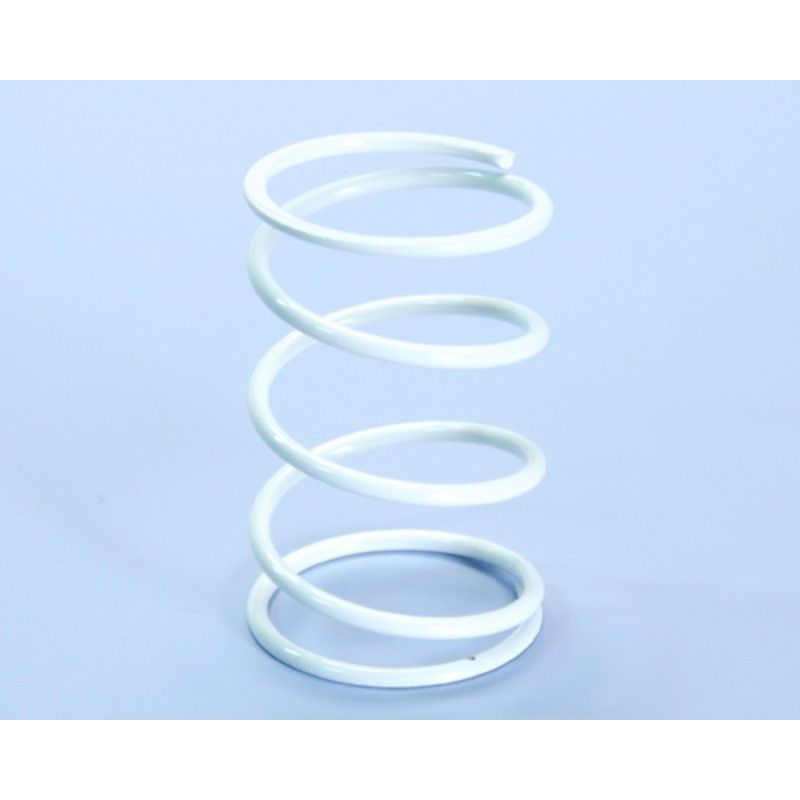 Muelle de contraste POLINI HONDA D.4.1 (243021) - motoscamaralweb.com