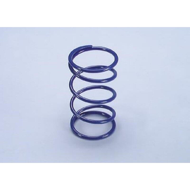 Muelle de contraste POLINI YAMAHA MAJESTY 250 4T (243071) - motoscamaralweb.com