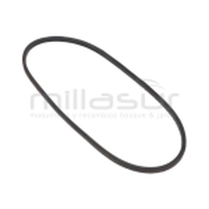 CORREA Z31.5 TRACCIÓN 10x800 (LI) ADAPTABLE A AS-MOTOR AS21. AS27. AS45 - motoscamaralweb.com
