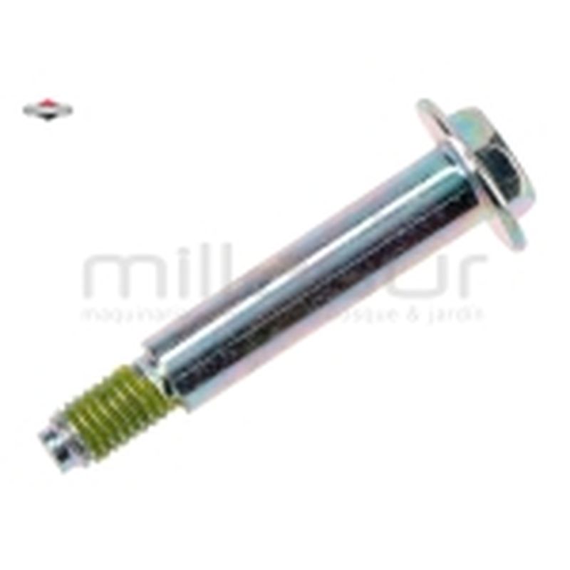 TORNILLO -- SUSTITUYE A 793459 - motoscamaralweb.com