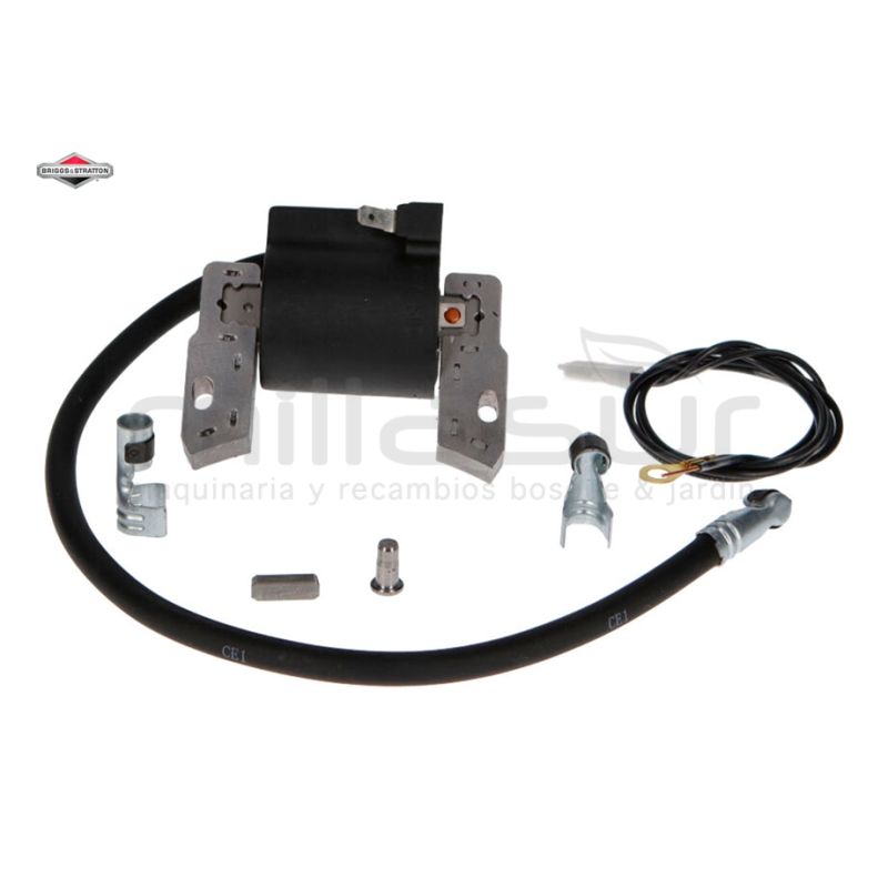 BOBINA - sustituye 793281 - motoscamaralweb.com