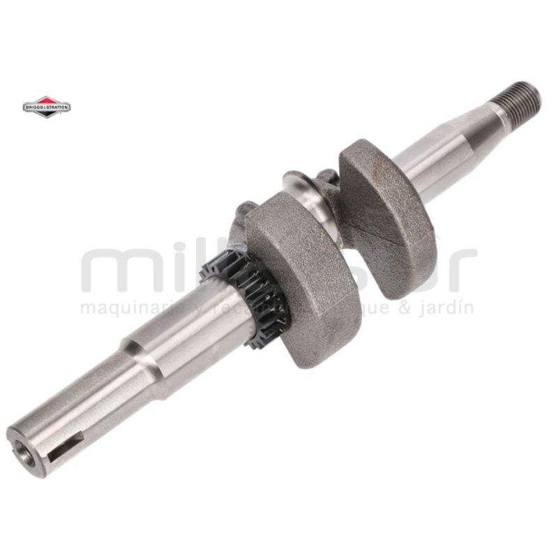 CIGÜEÑAL - motoscamaralweb.com