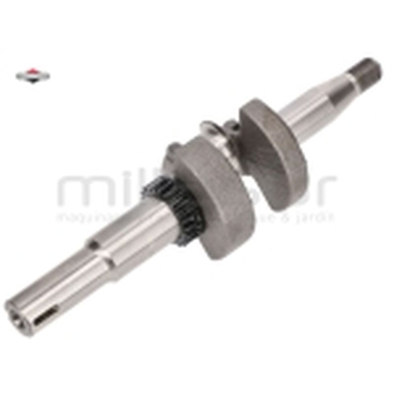 CIGÜEÑAL - motoscamaralweb.com