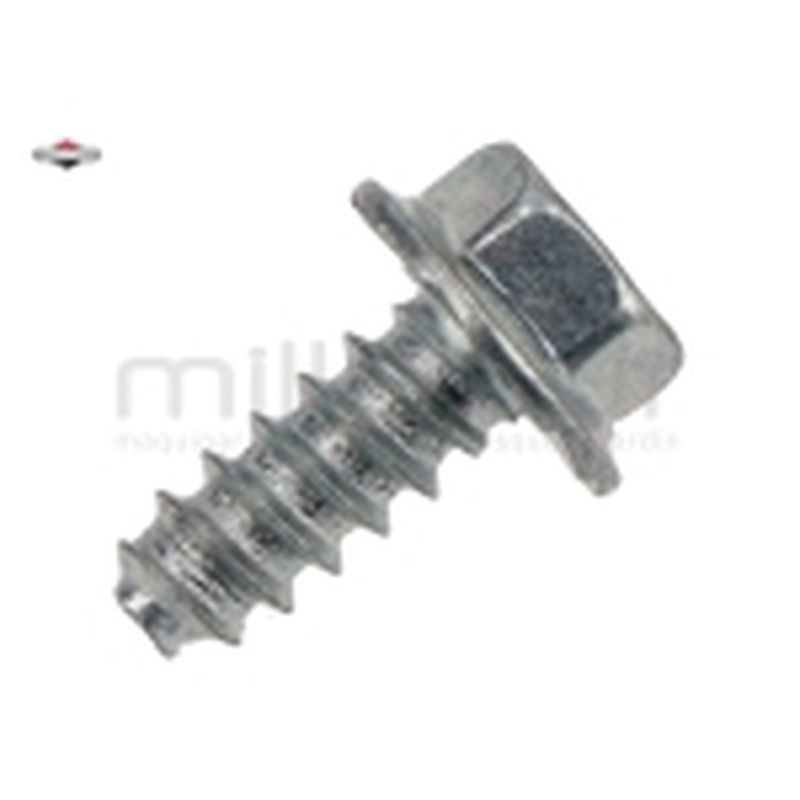 TORNILLO DE SALIDA ESCAPE - motoscamaralweb.com