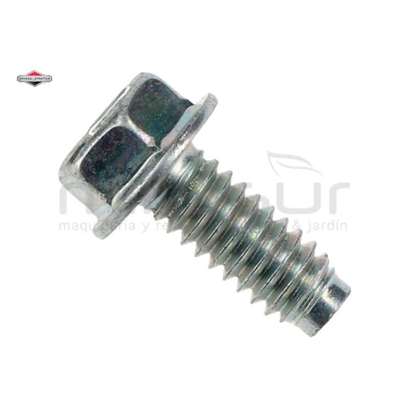 TORNILLO - motoscamaralweb.com