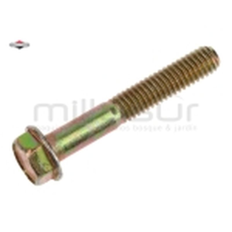 TORNILLO - motoscamaralweb.com