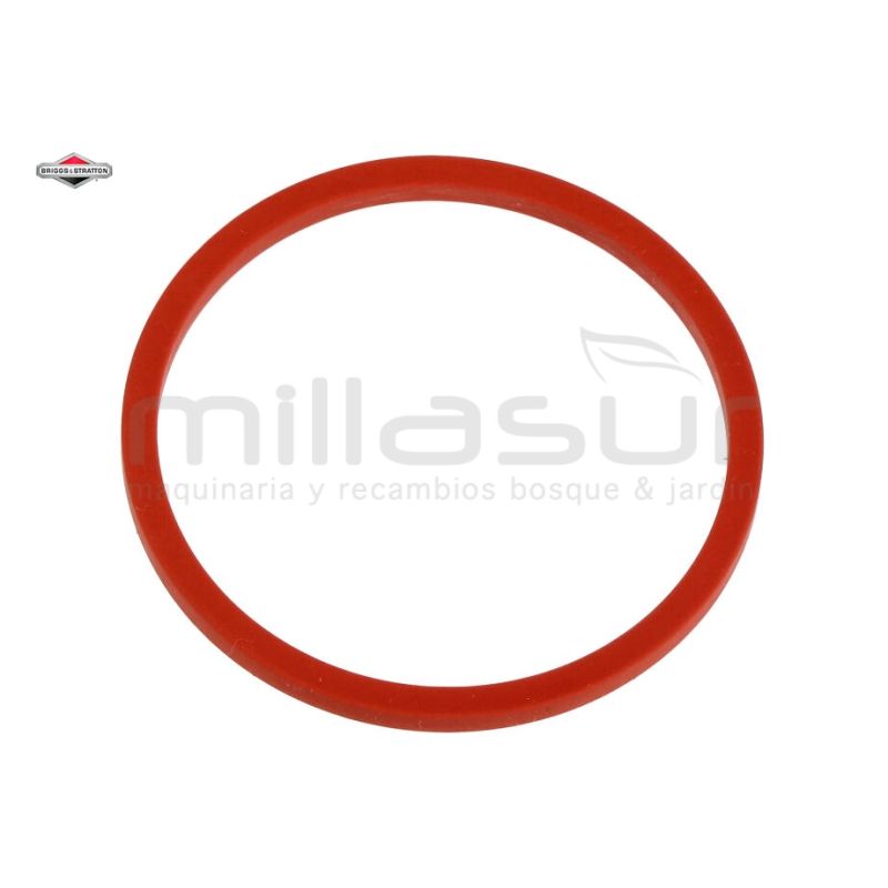 JUNTA - motoscamaralweb.com