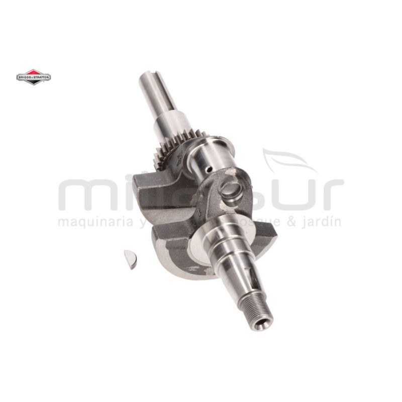 CIGÜEÑAL - motoscamaralweb.com