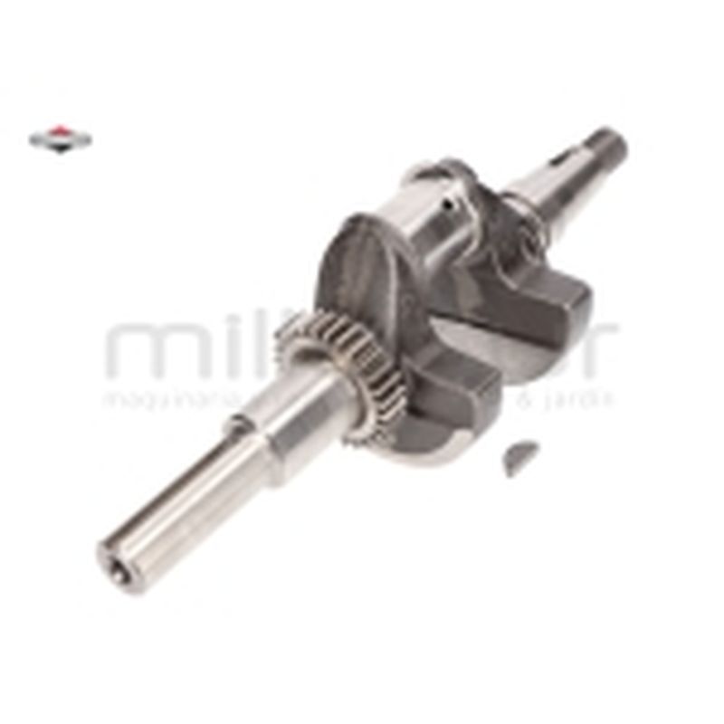 CIGÜEÑAL - motoscamaralweb.com