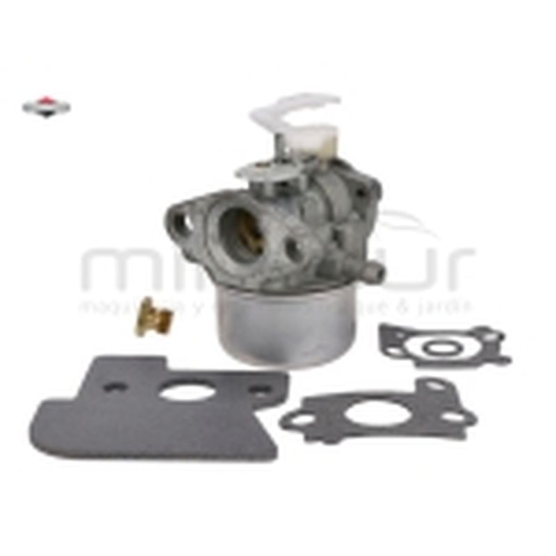 CARBURADOR ( STARTER MANUAL ) 698055 * 698056 * 790120 * - motoscamaralweb.com
