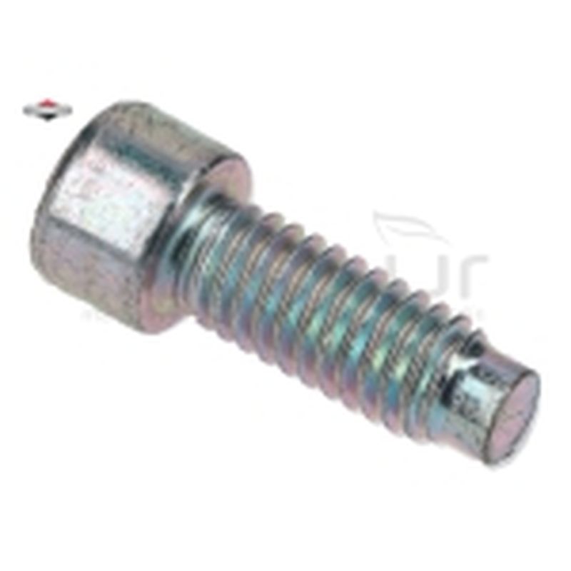 TORNILLO 796201 - motoscamaralweb.com