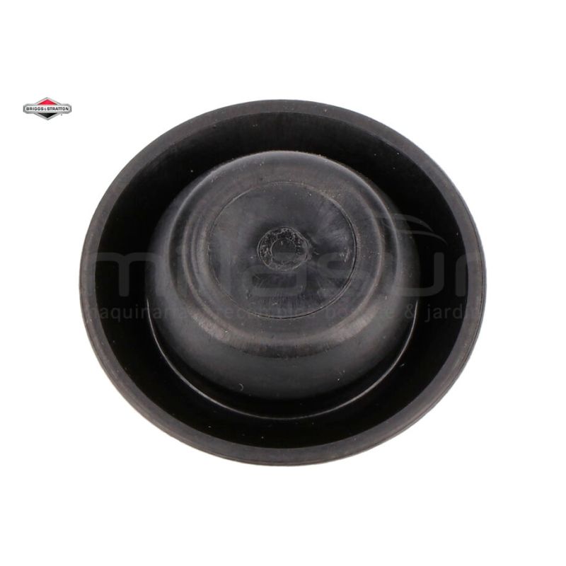 TAPON - motoscamaralweb.com