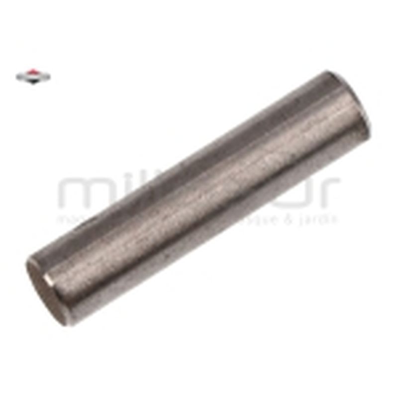 PASADOR - motoscamaralweb.com