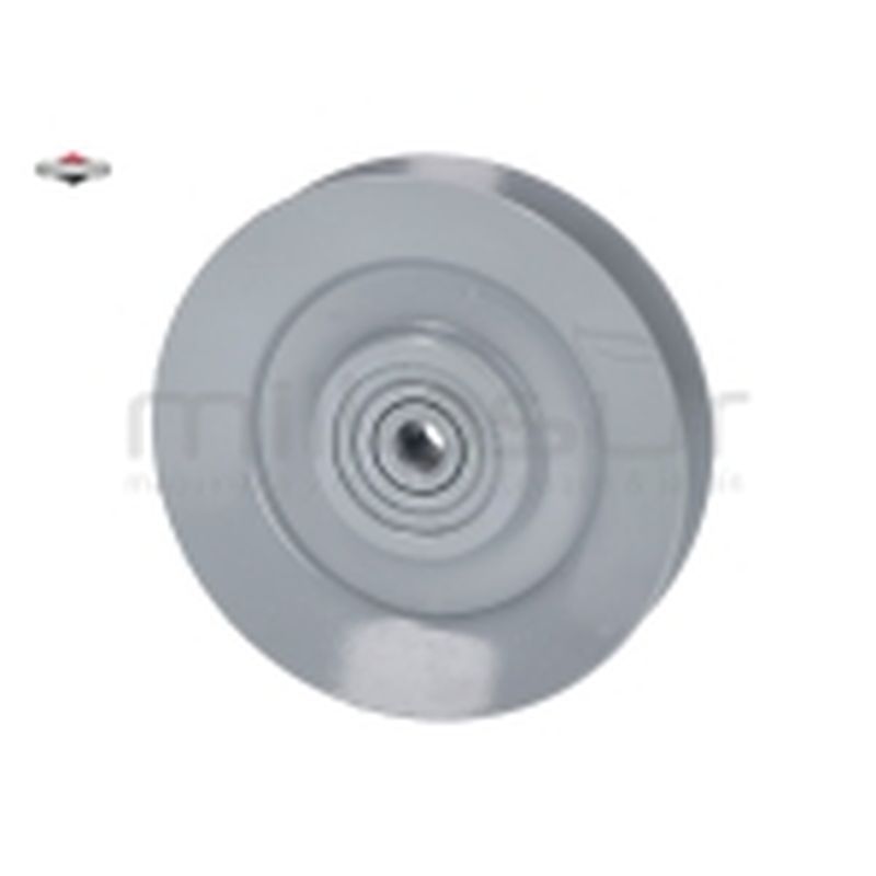 POLEA - motoscamaralweb.com