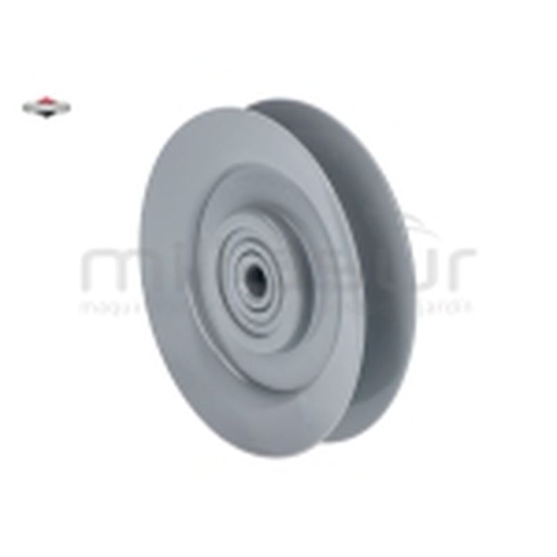 POLEA - motoscamaralweb.com