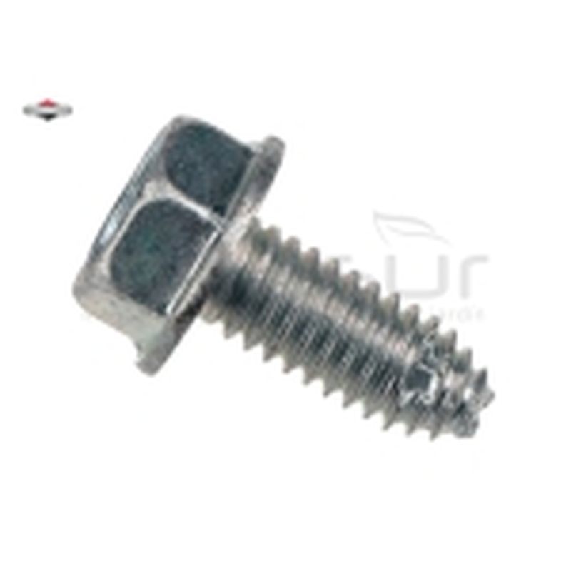 TORNILLO - motoscamaralweb.com