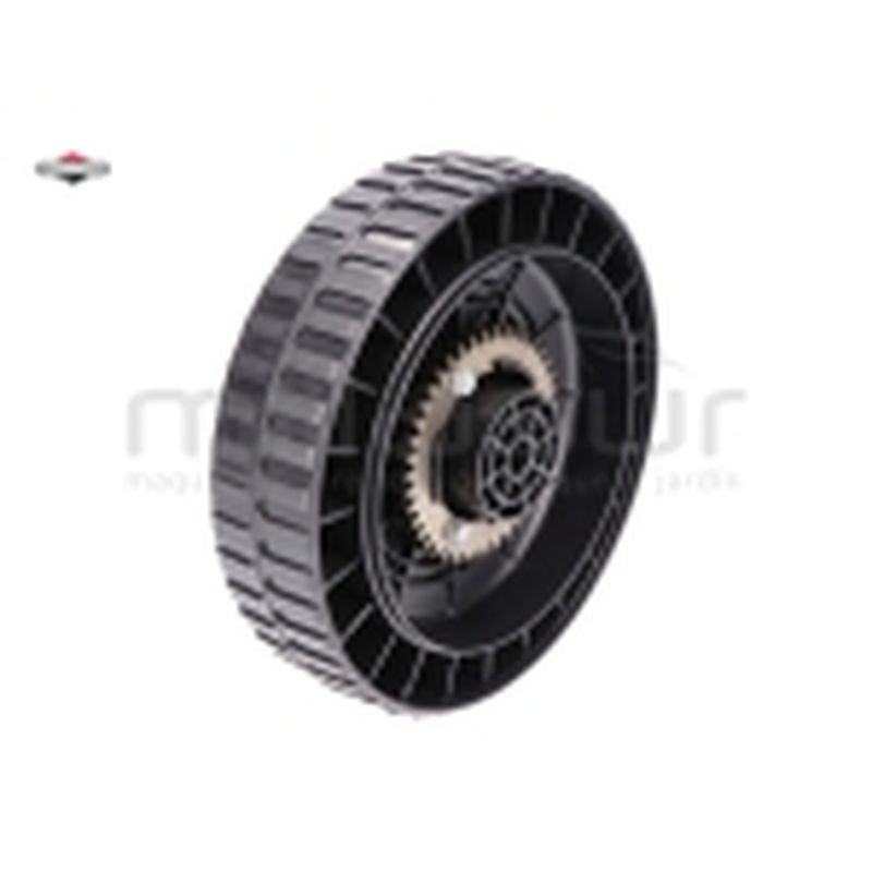 RUEDA TRASERA (42 DIENTES) - motoscamaralweb.com