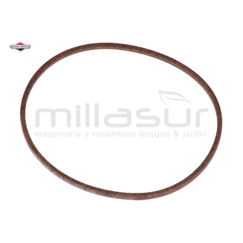 CORREA - motoscamaralweb.com