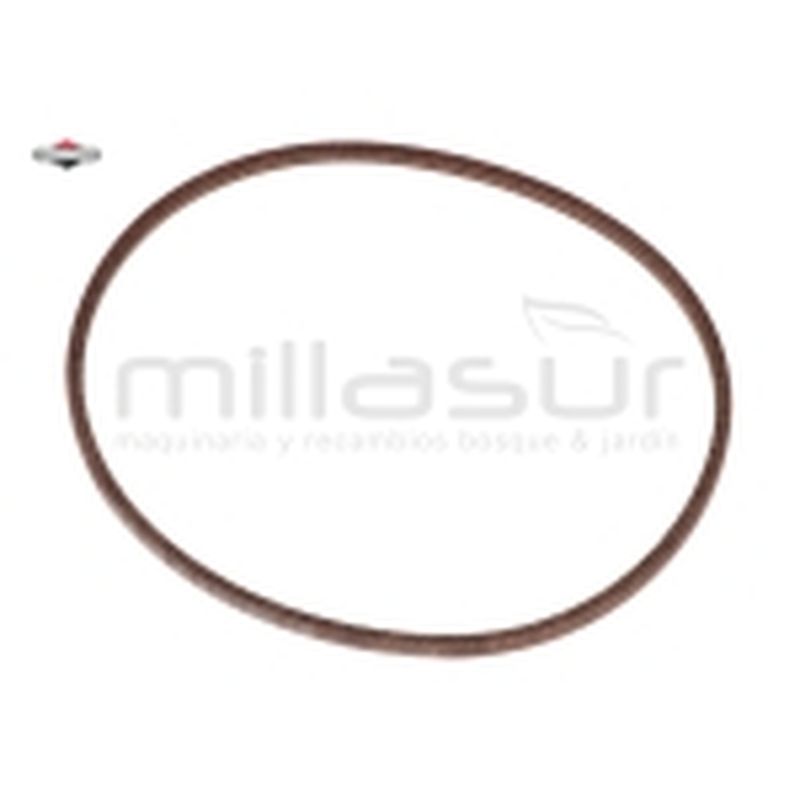 CORREA - motoscamaralweb.com