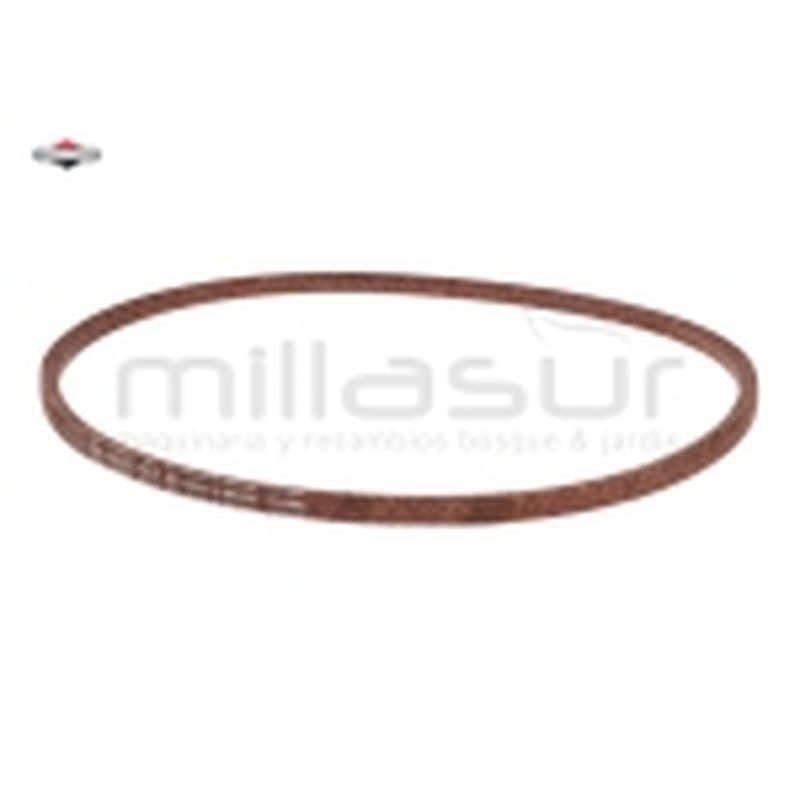 CORREA - motoscamaralweb.com