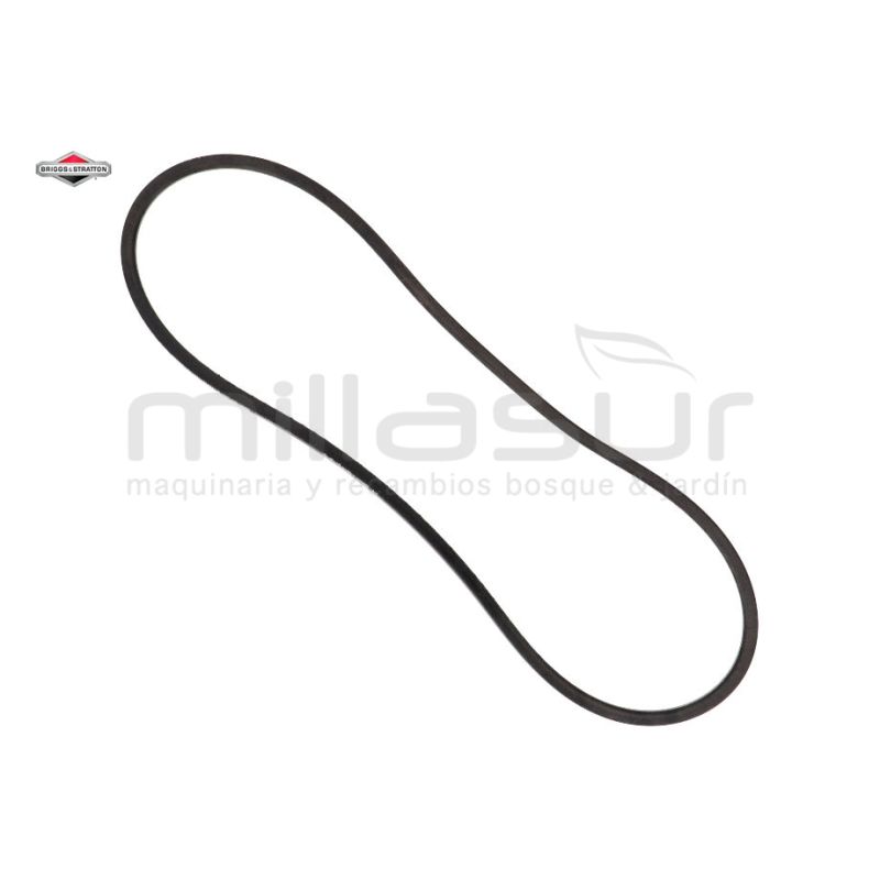 CORREA - motoscamaralweb.com