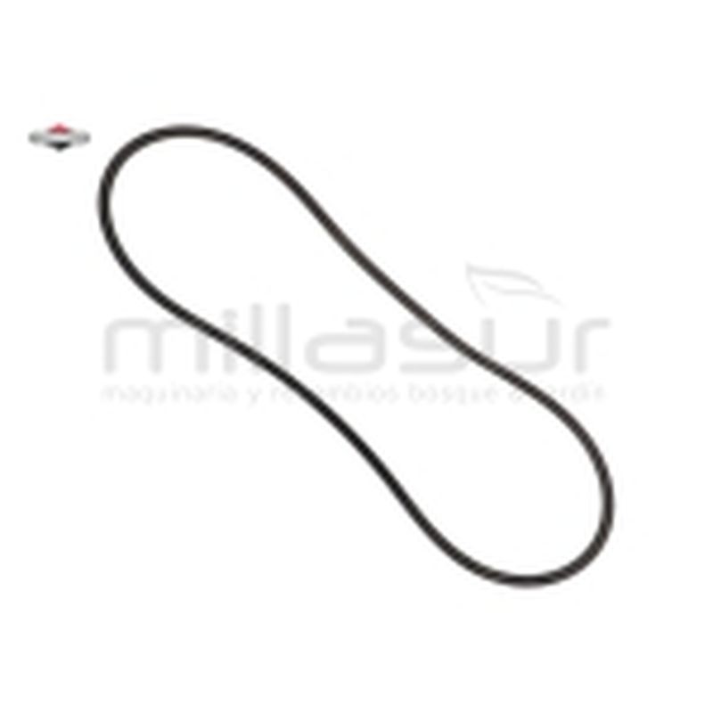 CORREA - motoscamaralweb.com