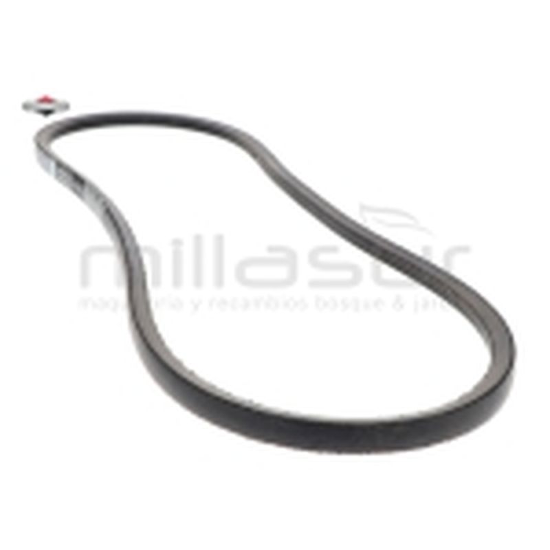 CORREA - motoscamaralweb.com