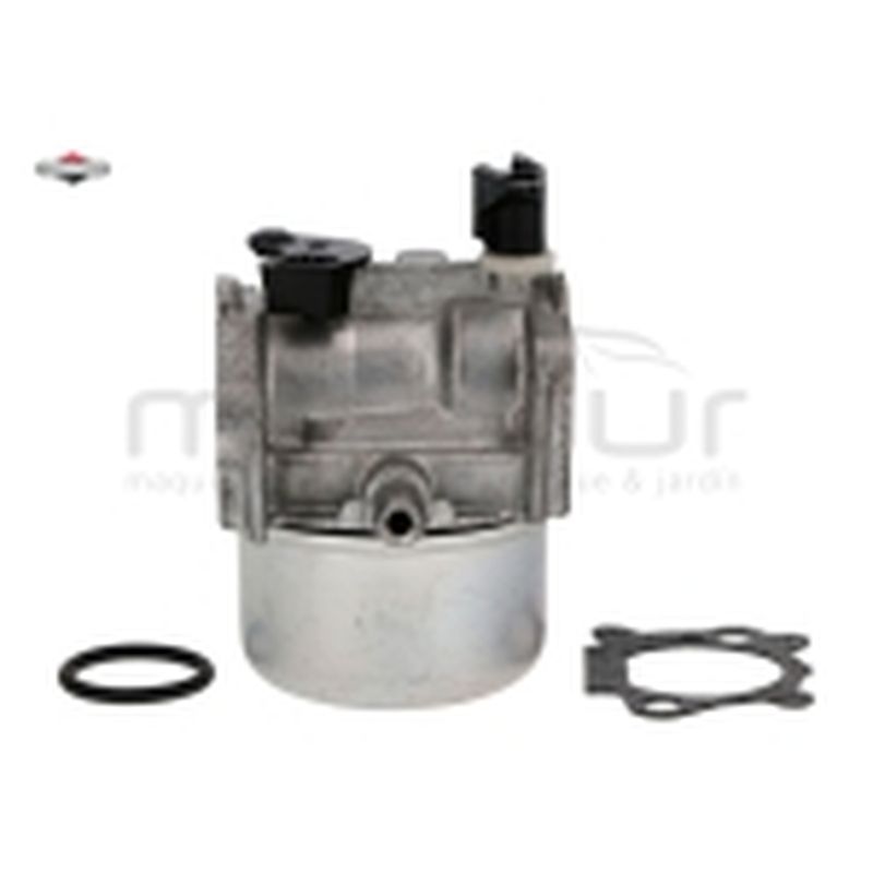 CARBURADOR EQUIVALENTE A 494216 498965 494217 497353 - motoscamaralweb.com