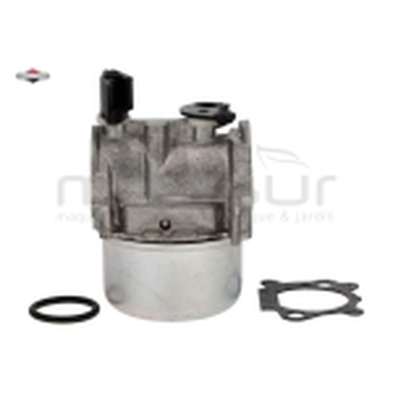 CARBURADOR EQUIVALENTE A 494216 498965 494217 497353 - motoscamaralweb.com