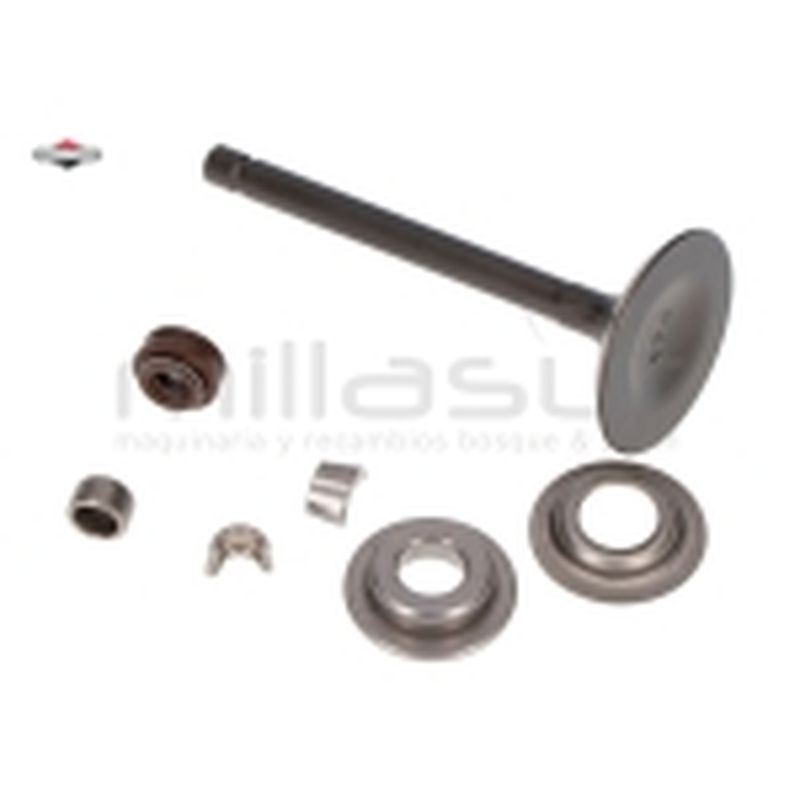 VÁLVULA ADMISIÓN - motoscamaralweb.com