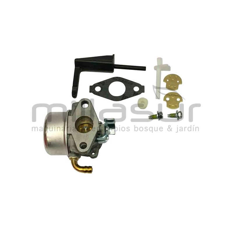 CARBURADOR REEMPLAZA A 790290 - motoscamaralweb.com