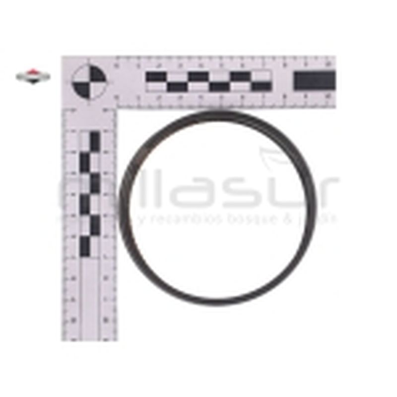 JUEGO DE AROS - motoscamaralweb.com