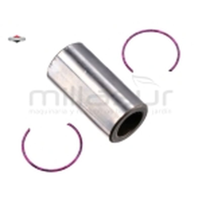 BULON REEMPLAZA A 797013 - motoscamaralweb.com