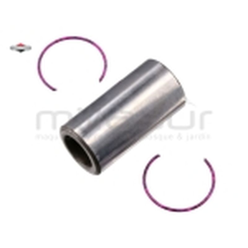 BULON REEMPLAZA A 797013 - motoscamaralweb.com