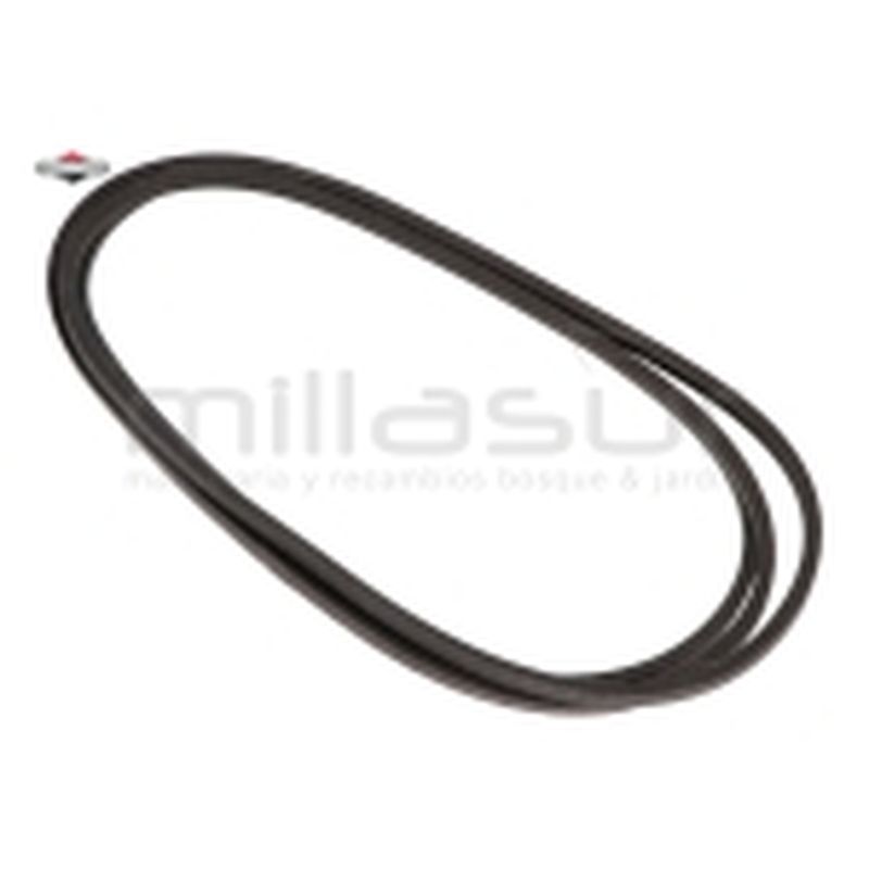 CORREA CORTE - motoscamaralweb.com