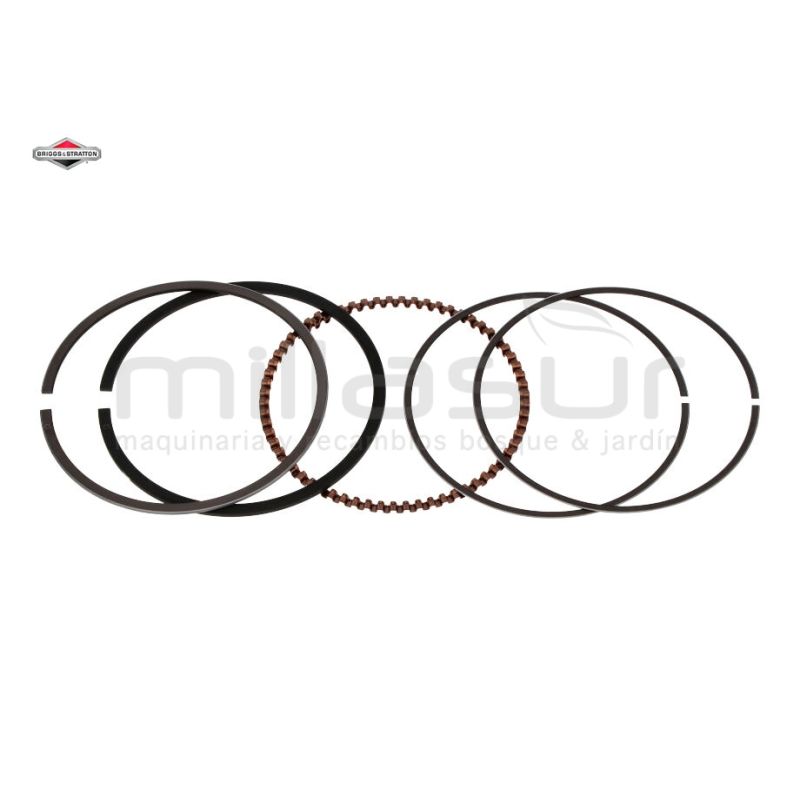 JUEGO SEGMENTOS - motoscamaralweb.com