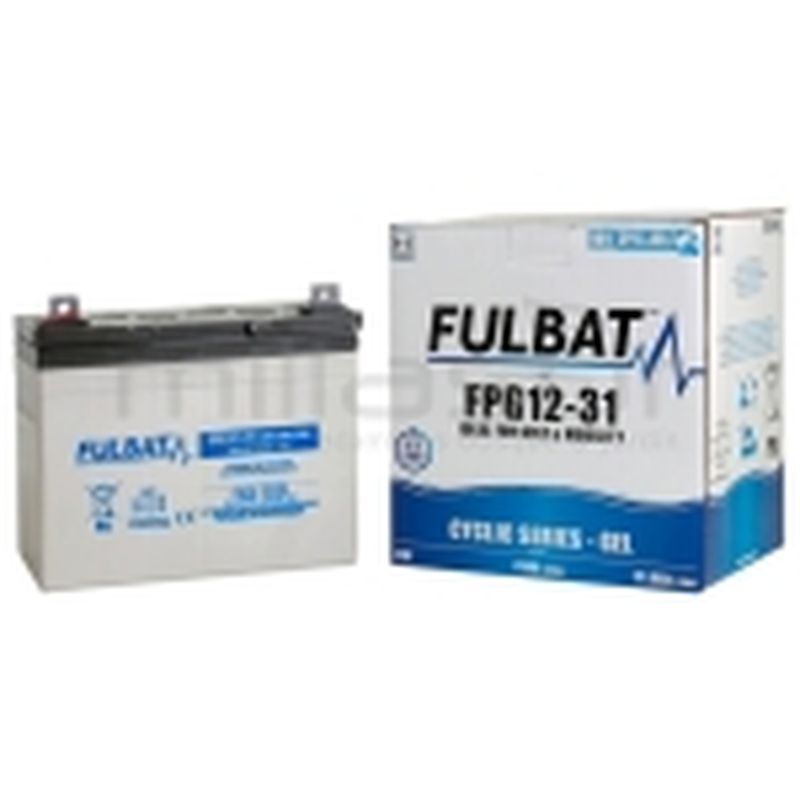 BATERIA CICLICA GEL FPG12-31 12V 31 Ah.( 195 x 130 x 178 ) - motoscamaralweb.com