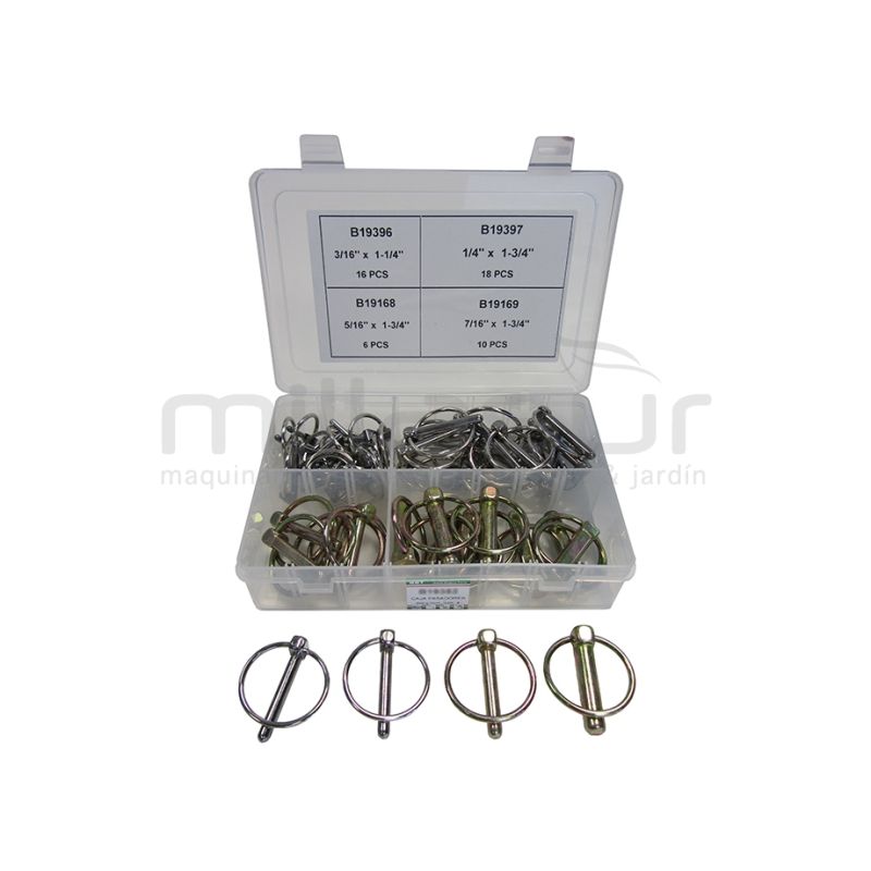 CAJA PASADORES (50 PCS) - motoscamaralweb.com