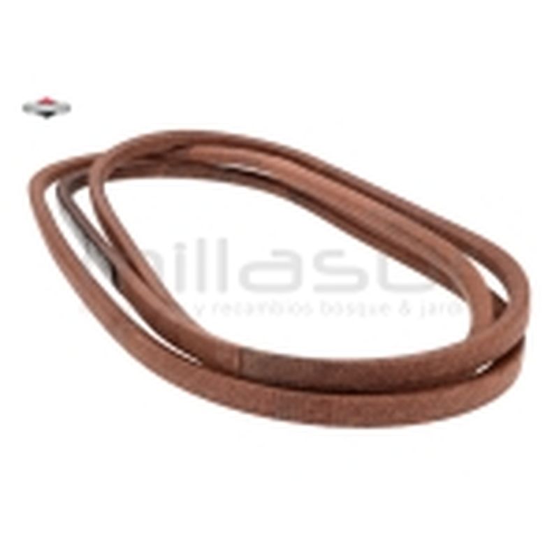 CORREA MURRAY - motoscamaralweb.com