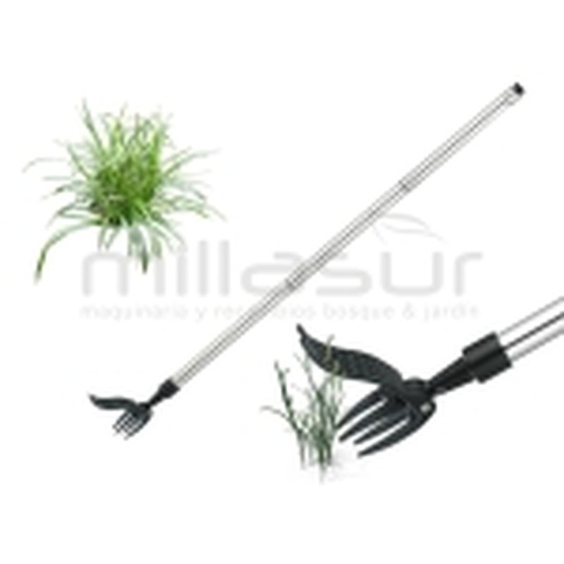 EXTRACTOR MANUAL DE MALAS HIERBAS - motoscamaralweb.com