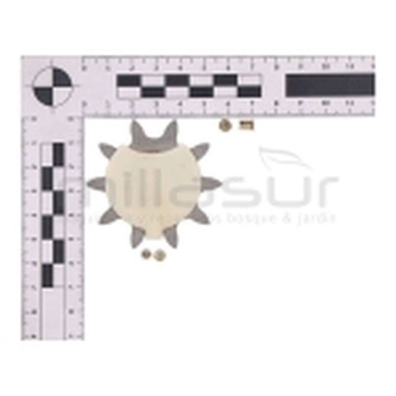 PIÑONES PUNTERA POWER TECH 3/8 x 10 - motoscamaralweb.com