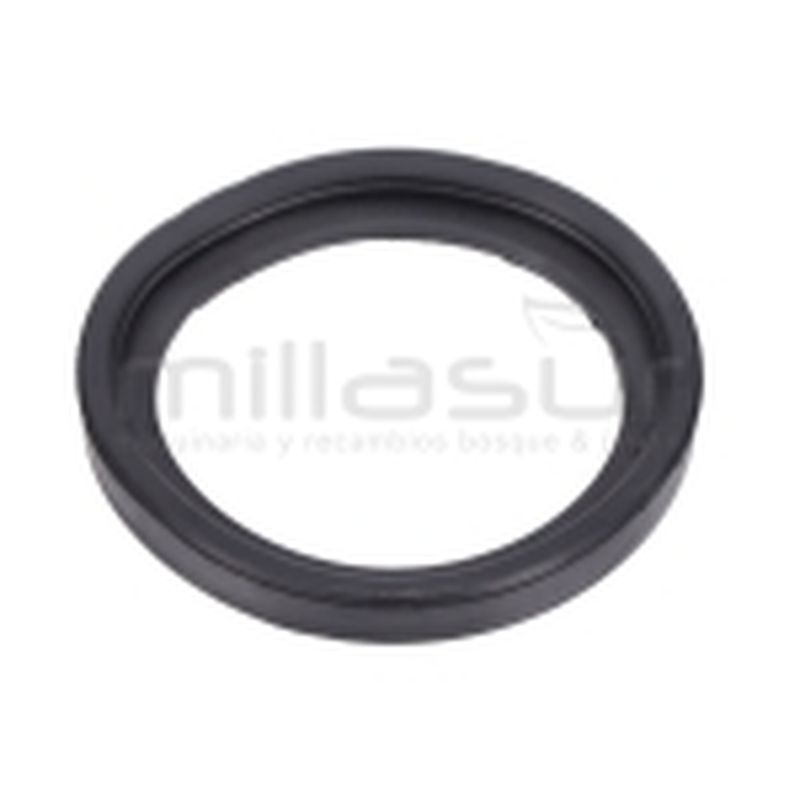 JUNTA INFERIOR MOTOR AS20C (18) - motoscamaralweb.com