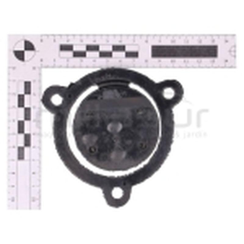 JUNTA VALVULA RETORNO BA4C20AS (16) - motoscamaralweb.com